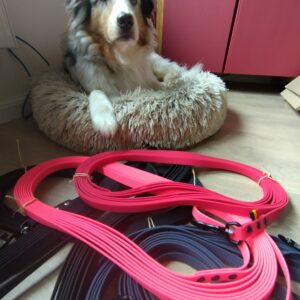 Longes Shop Mantrailing et Lana