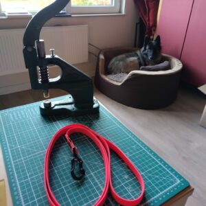 Laisse 1,5m - 16mm - légère et sécurisante!